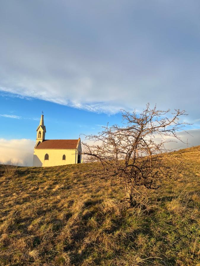 Villa Haus Karner Neusiedl am See Esterno foto